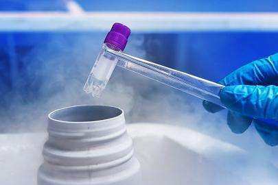 卵子冷冻与辅助生殖：女性生育力保存的关键选择