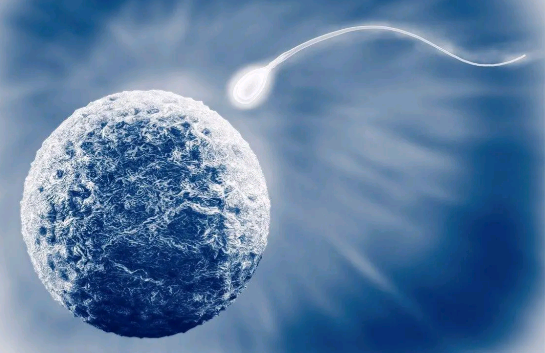 子宫内膜增厚：月经推迟的潜在原因及生育影响