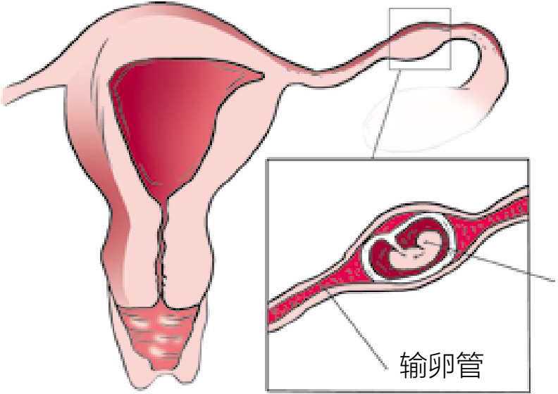 男生补身体有哪些吃的