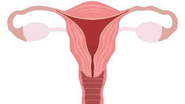 天津供卵要花多少钱：怀孕三个月可以药流吗