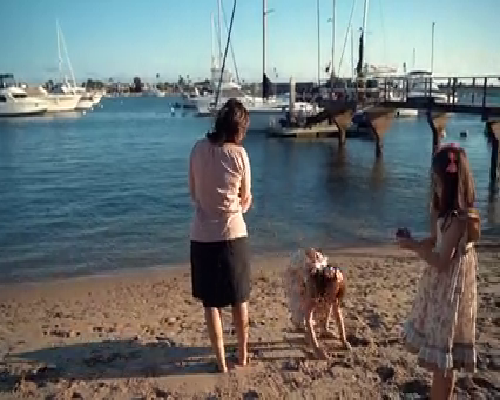 〔安卓宝宝医院〕,广州单身做试管的医院哪家好些，广州单身做试管的医院哪