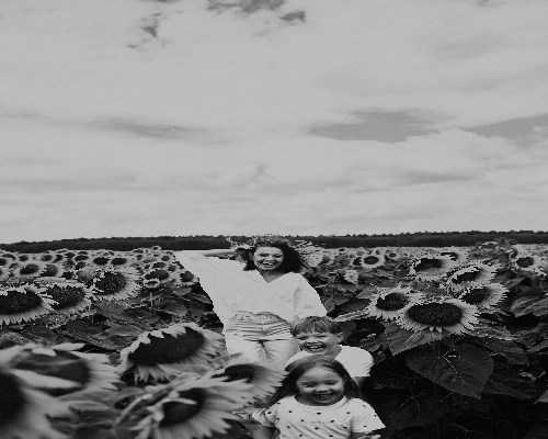 天津供卵试管助孕：2026天津妇幼保健医院服务范围、费用及代生代怀选择深度分析