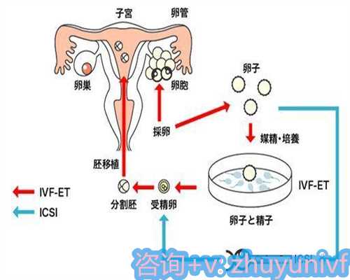 天津试管借卵公司,合肥助孕机构哪里好,附上榜名单