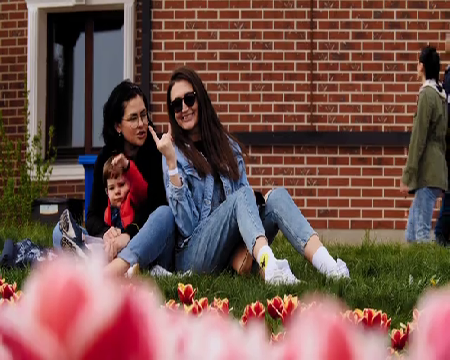 一般人做试管几次成功，试管天津代怀有多少钱成功率介绍